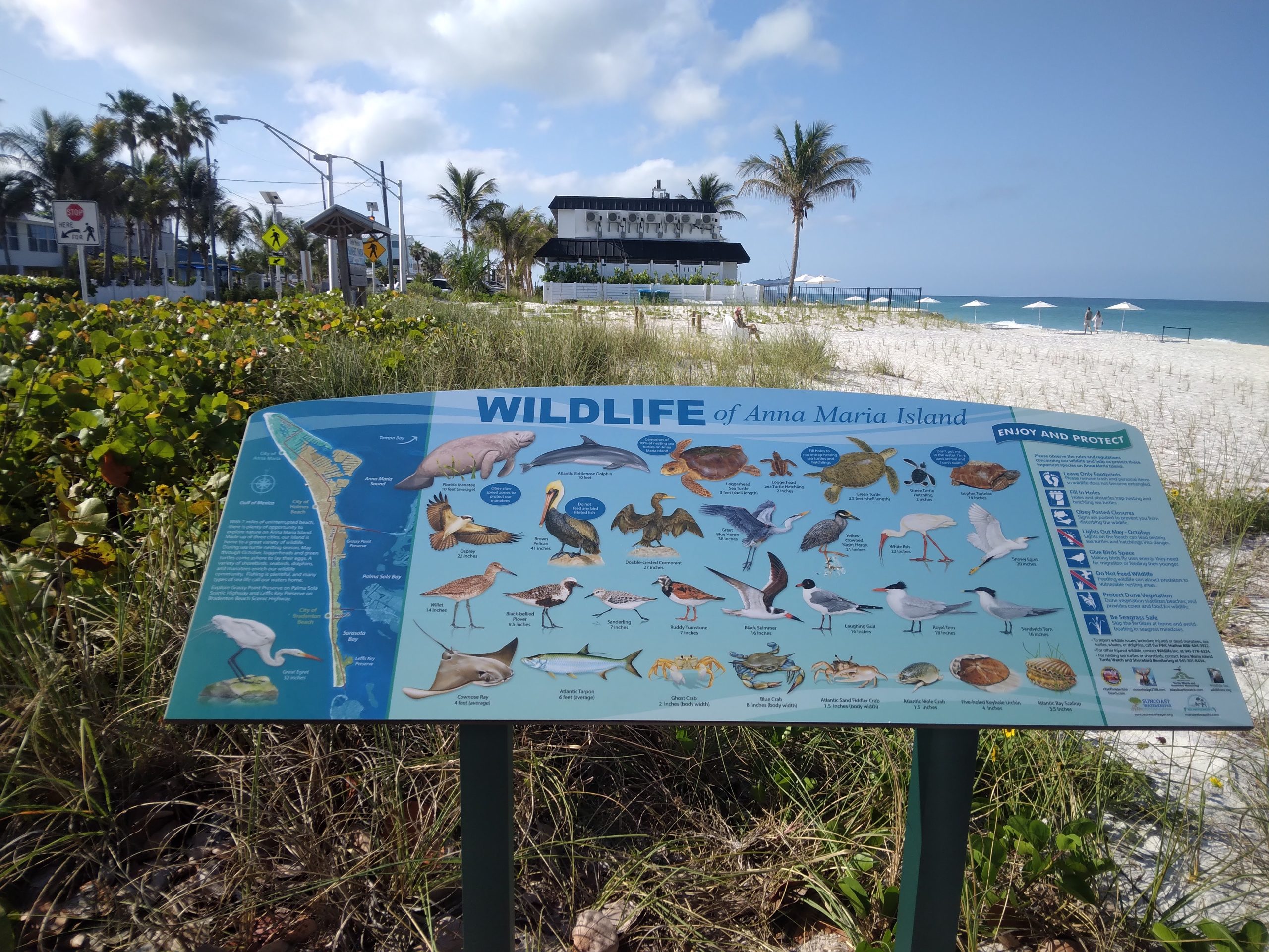 Wildlife Sign - AMI Turtle Watch2